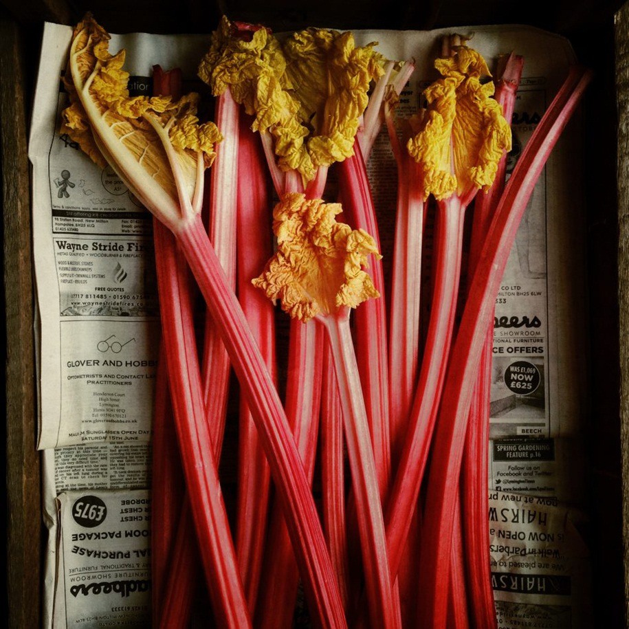17 Photographers of the Year iPhone Photography Awards. 
First Place Winner in the Food category. Andrew Montgomery