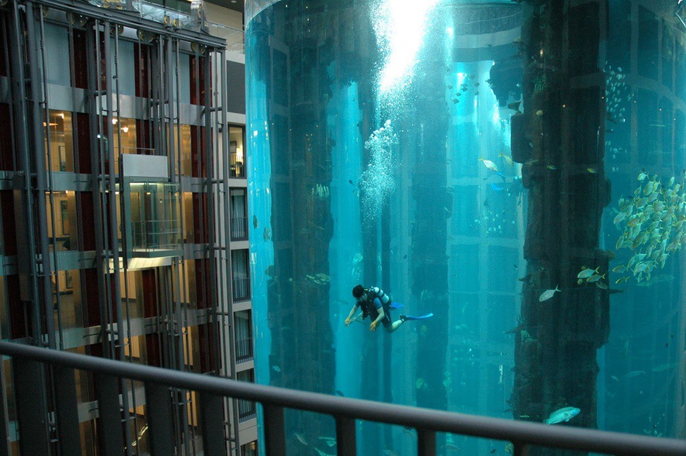7 A giant aquarium. Photography by neogaf