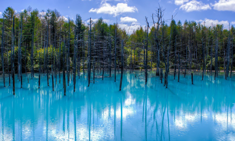 5 Blue Pond, Hokkaido, Japan. Photo by Miki Asai.