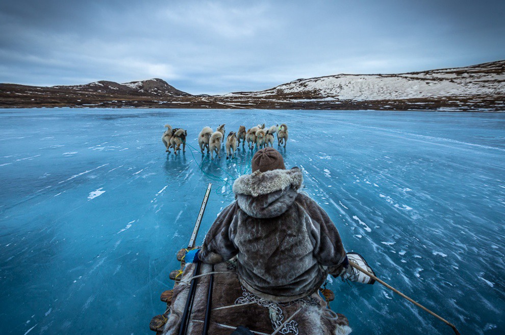 14 On the dog sledding in Greenland. Photo by Joe Capra.