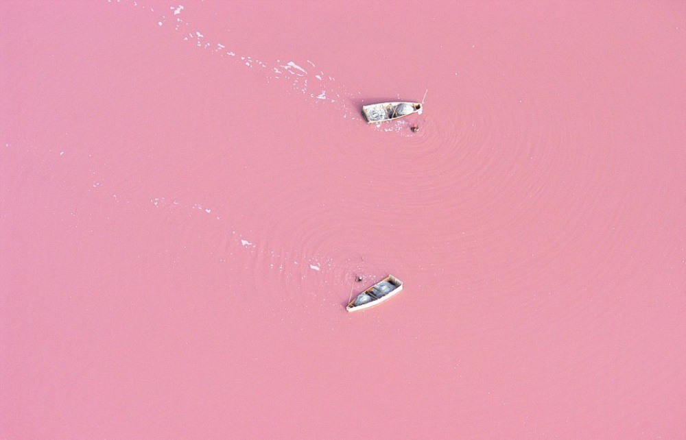 19 Pink Lake Senegal. Photo by bioindustry.