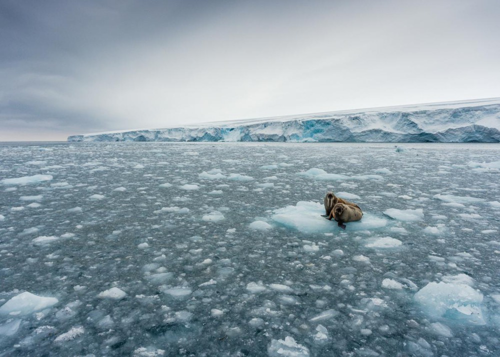 10 Go With the Floe. Photo by CHRISTIAN ASLUND.