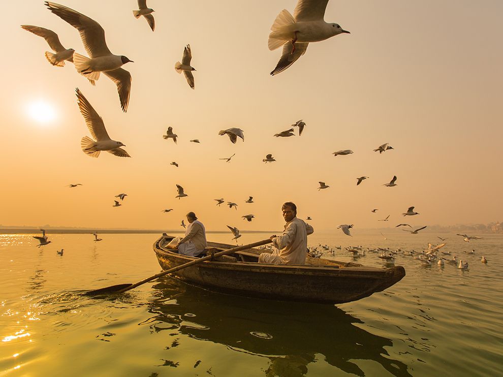 3 Sunrise Sweep. Photograph by Razz Razalli. 
“I was lucky to visit Varanasi during the [bird] migration. Morning boat rides are the ultimate thing to do during this time,” opines photographer Razz Razalli, who was in India when he captured this flock sweeping over a rowboat at sunrise. “According to the locals, the birds arrive in November and leave at the end of February,” Razalli writes. The annual migration attracts tourists to Varanasi, and for a fee, boatmen take tourists onto the river for an up-close look at the flocks.
