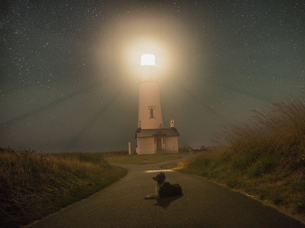17 Beacon Bright. Photograph by Justin Knott.
A patient dog makes a long exposure possible at the Yaquina Head lighthouse in Newport, Oregon, captured here by Your Shot member Justin Knott. A working lighthouse since 1873, the 93-foot beacon is a landmark of the Oregon coast’s Yaquina Head Outstanding Natural Area.