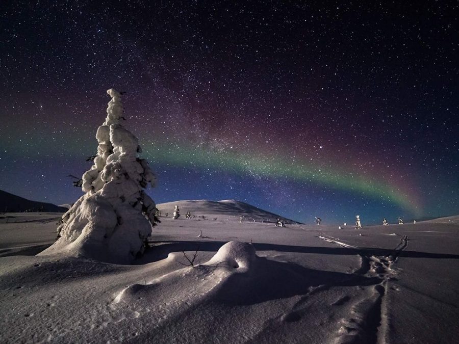 8 Magic Night. Finland. Photograph by Satu Juvonen