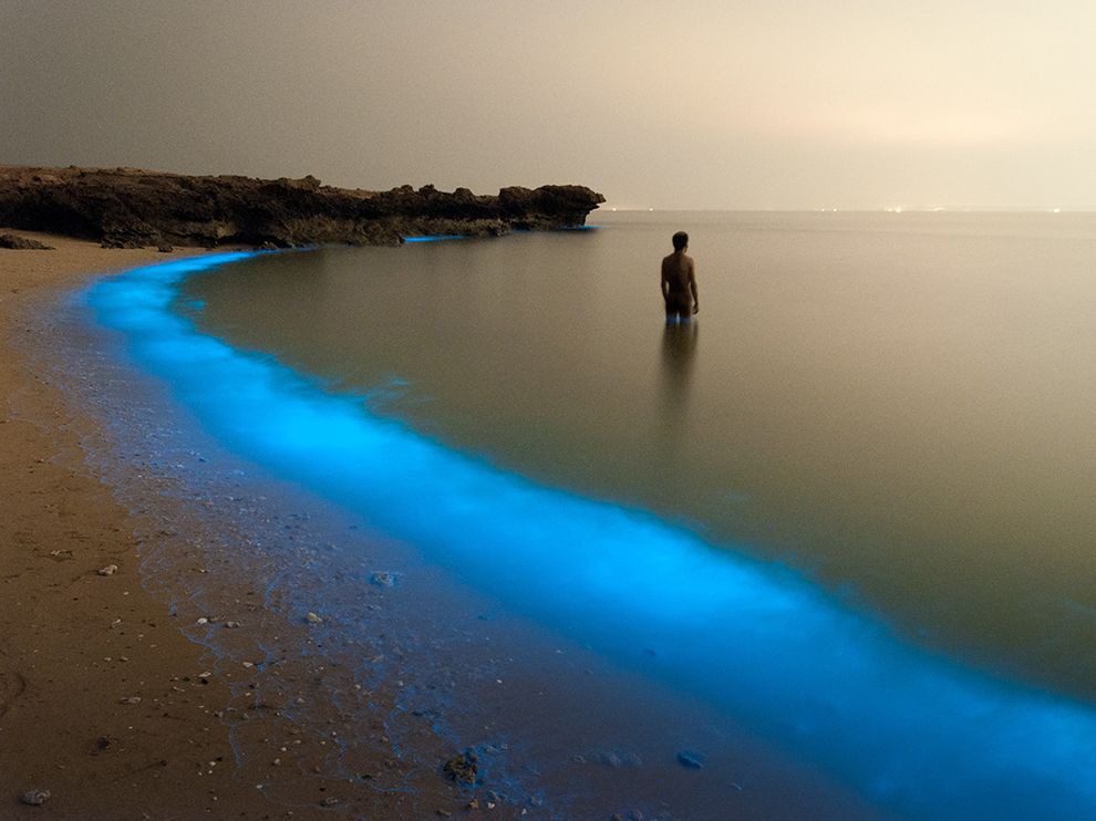 6 Bioluminous Larak. Photograph by Pooyan Shadpoor.   "While walking along the shore of Larak, Iran—an island in the Persian Gulf—Your Shot member Pooyan Shadpoor came across this luminous scene. The “magical lights of [the] plankton ... enchanted me so that I snapped the shot,” he writes."