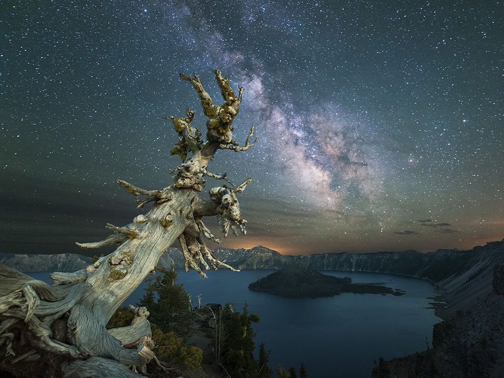 10 The Show at Crater Lake. Photograph by Keith Marsh.    "Specializing for the past four years in what he calls astrophotographic landscapes, Your Shot member Keith Marsh has captured the Milky Way in locations from Alaska to Cuba. He photographed Oregon’s Crater Lake looking south from the north rim, where the Milky Way is brightest. “I also wanted to have something in the foreground for additional interest and spent several hours during the day searching for just the right spot,” he writes. “As it turned out, this old dead tree is very popular with photographers, and over a period of several hours there were as many as 20 photographers huddled in this same spot.” The lights on the horizon are from Klamath Falls, Oregon, about 60 miles away."