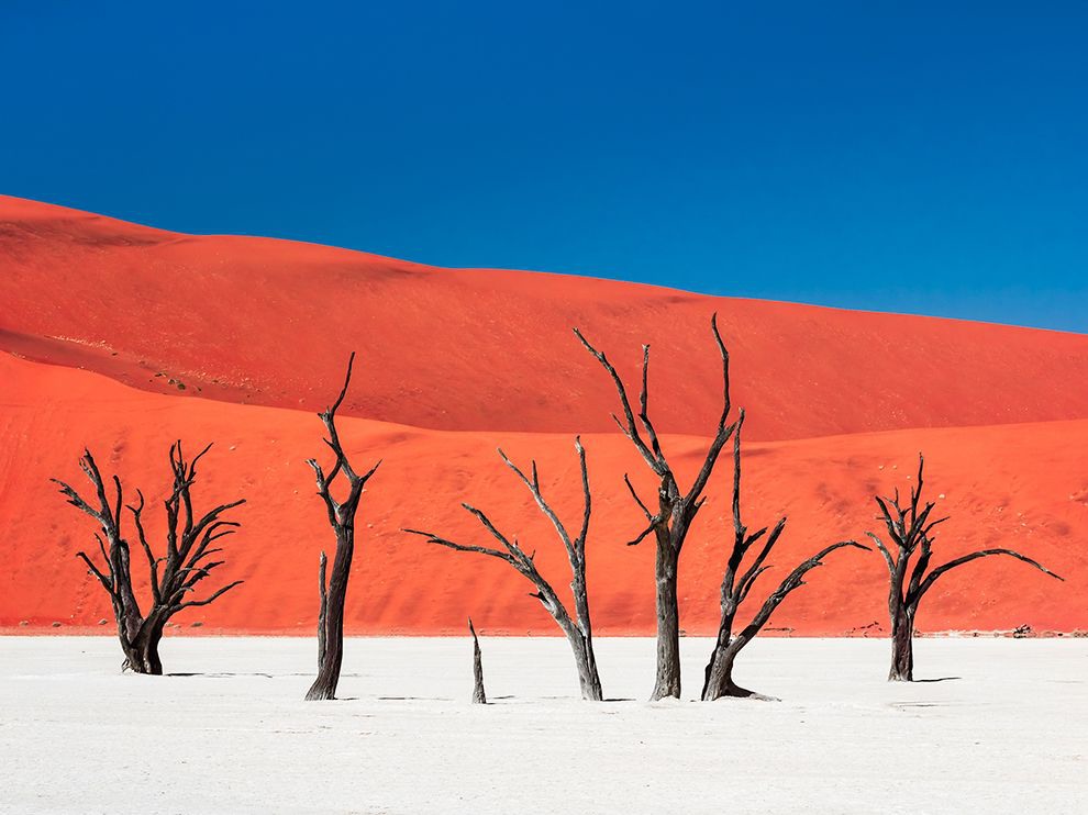 3 “Island of Silence and Heat”. Photograph by Carsten Krüger. Your Shot member Carsten Krüger submitted this otherworldly photo of Namibia’s Dead Vlei: withered trees anchored in a white-clay pan, standing in striking contrast to an intensely colored, towering sand dune. The trees have been there for hundreds of years, reminders of when river waters cooled and hydrated this now scorched earth. Krüger writes, “[It was] a surreal island of silence and heat … We hiked one lonely mile without navigation and maps to find Dead Vlei … [It was] a masterpiece of nature: abstract shapes and unbelievable bright colors.”