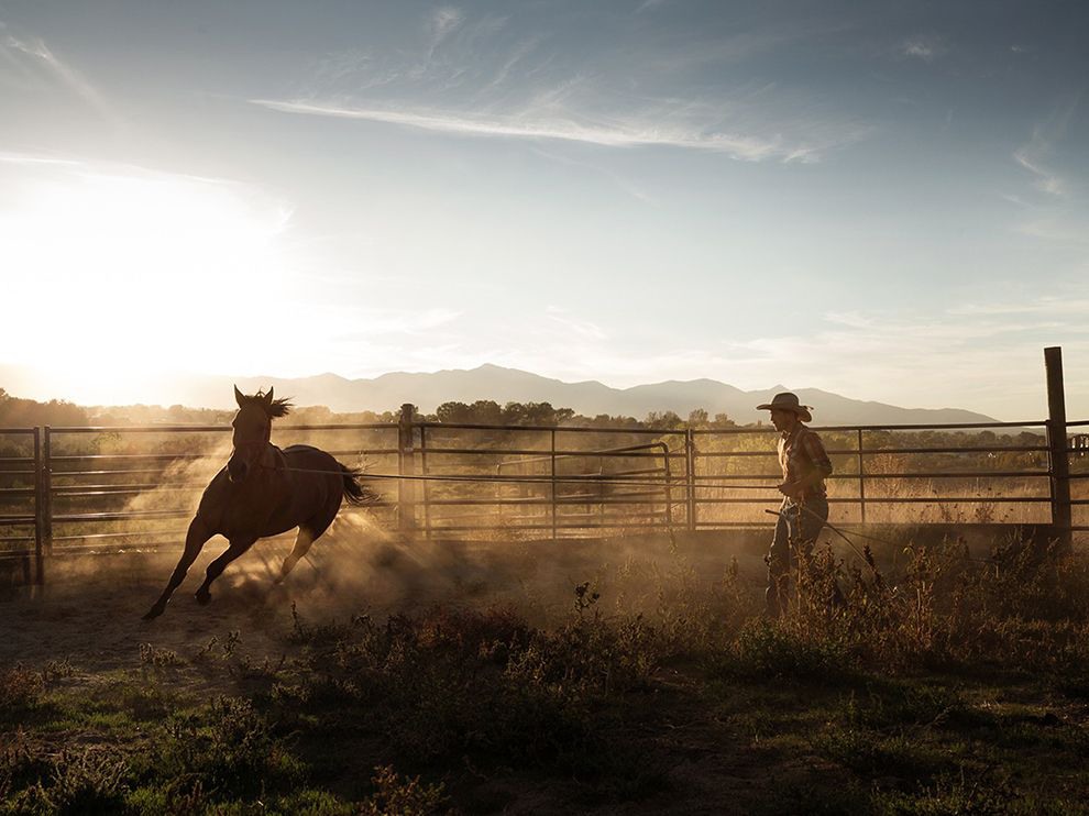 13 Urban Cowboy. Photograph by Brice Portolano. A man trains a horse at his mother’s ranch in Utah. Photographer Brice Portolano was trying to “get the horse's shadow in its own dust cloud.”