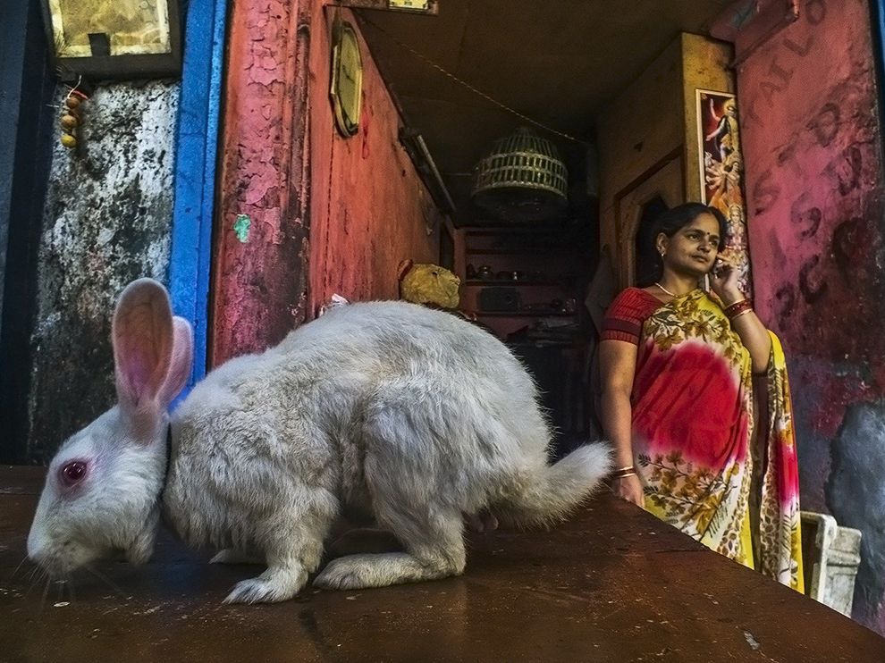 25 Abrakolkata. Photograph by Rana Pandey.       "Your Shot member Rana Pandey captured this picture of a woman and rabbit in Kolkata, India. Pandey’s intimate portraits of life in India can be found on our photo community."