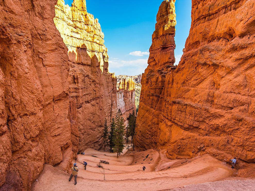 18 Wind Down. Photograph by Vic Buhay. Your Shot member Vic Buhay went on a photo road trip with a colleague through Utah and Arizona. At their first stop, Bryce Canyon National Park, they hiked the Navajo Loop Trail. “This view opened up as this trail turned into a twisting and winding [path] to the bottom of the valley below,” he says. “The setting sun's golden light bounced all over the red rock walls of the canyon.”