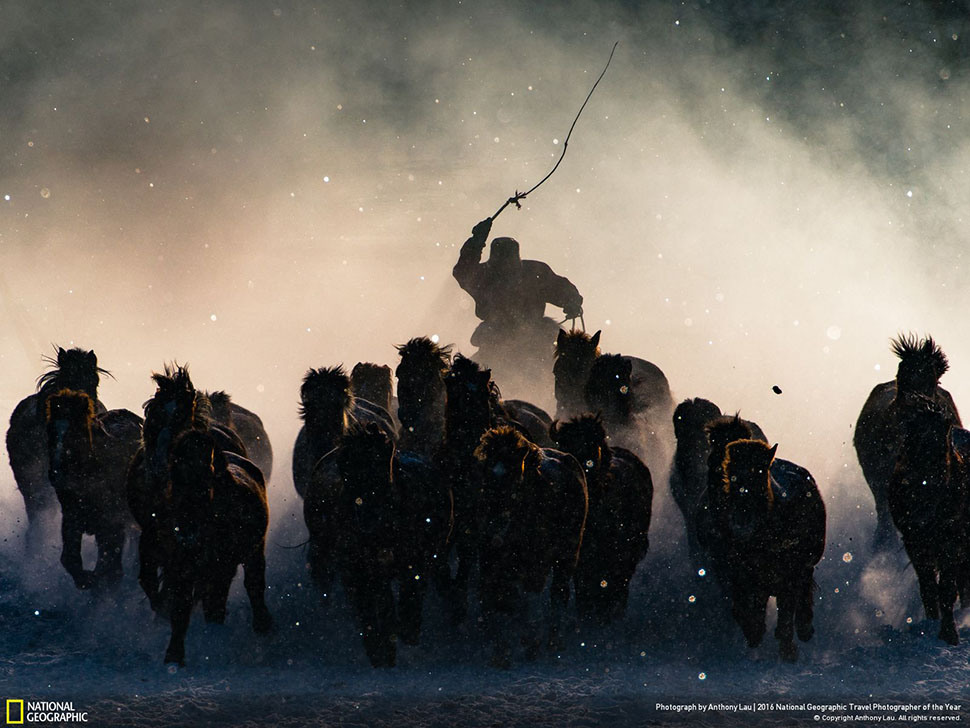1 Winter Horseman, grand prize. Photographer: Anthony Lau.