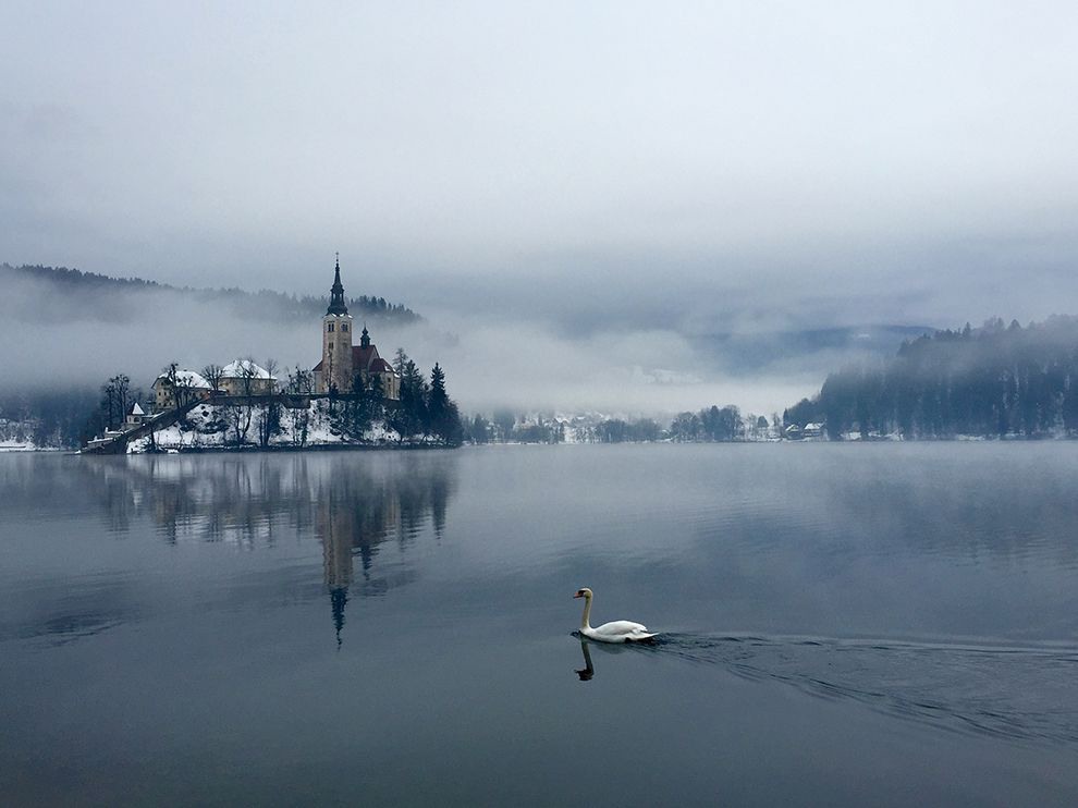 18 Swanlike End. Photograph by Kostyantyn Steblovskyy. Lake Bled in Slovenia.