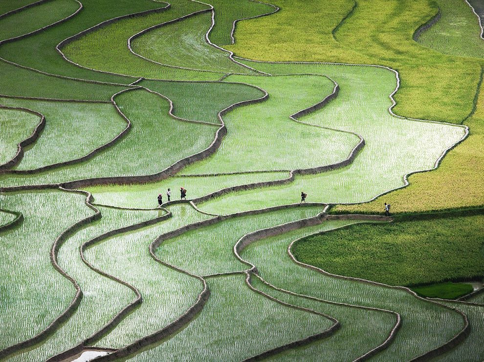21 Leading Lines. Photograph by Quỳnh Anh Nguyen. Tu Le Valley in Yen Bai Province, Vietnam.