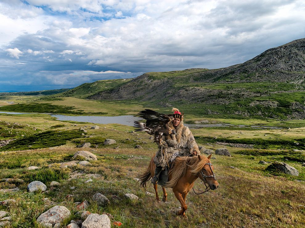 3 Eagle Hunter. Photograph by Steve Morrison. While in western Mongolia in the summer of 2014, Your Shot member Steve Morrison captured this photo of a nomadic herder who hunts using a trained golden eagle, a centuries-old Kazakh practice. The eagles are extremely quick and can dive upon prey at speeds of more than 150 miles an hour. "I had the opportunity to spend four days camped beside the ger (yurt) belonging to Shohan and his family," Morrison writes. "On this day, we had followed Shohan deep into the valley that extends west beyond his summer pastures, above upper Dayan Nuur near the Chinese border."