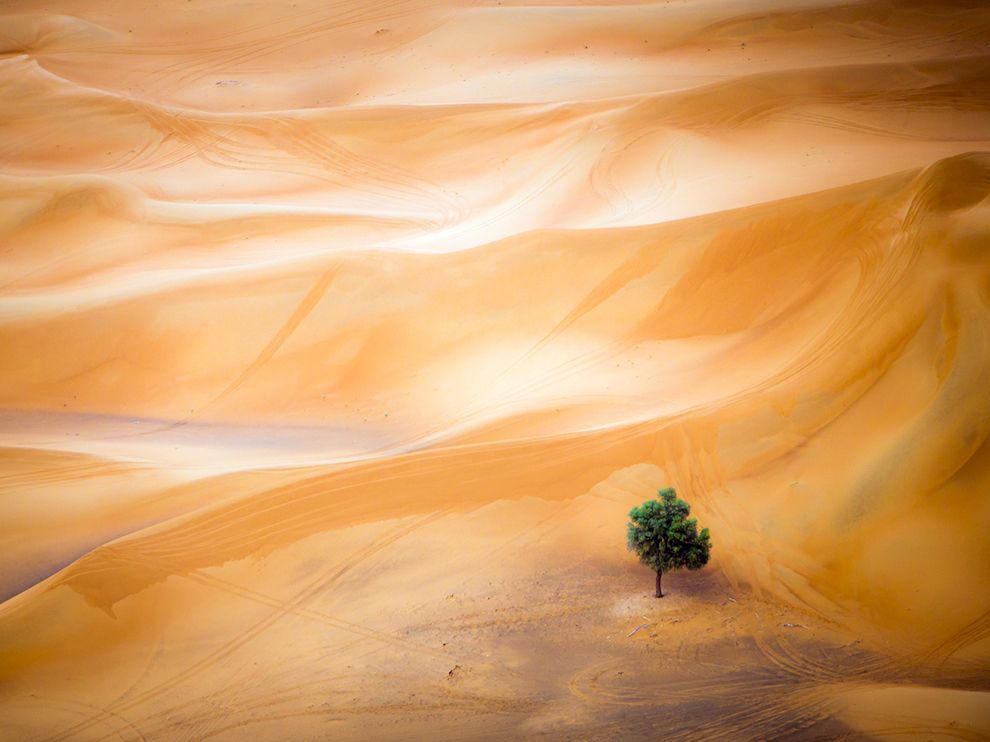 19 Sand Waves. Photograph by Mark Seabury