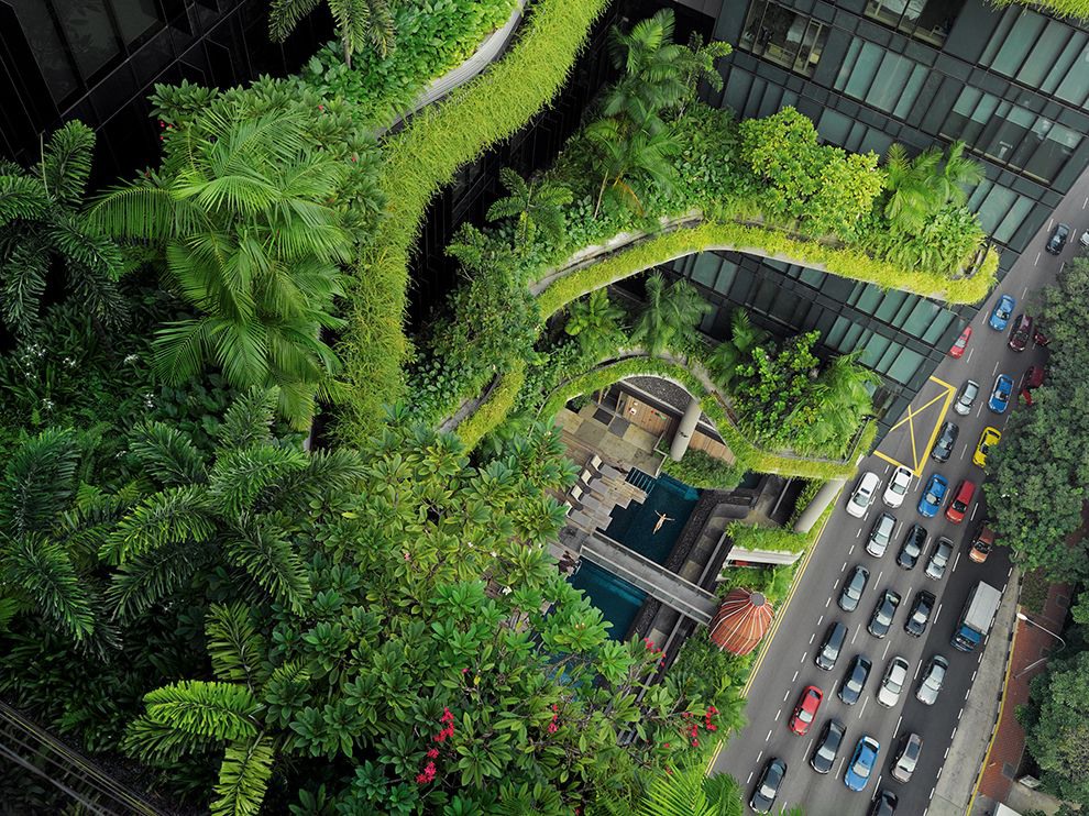 23 A Tranquil Dip. In Singapore, which aims to be a “city in a garden,” greenery cascading off a luxury hotel soothes a guest in a balcony pool. Photograph by Lucas Foglia.