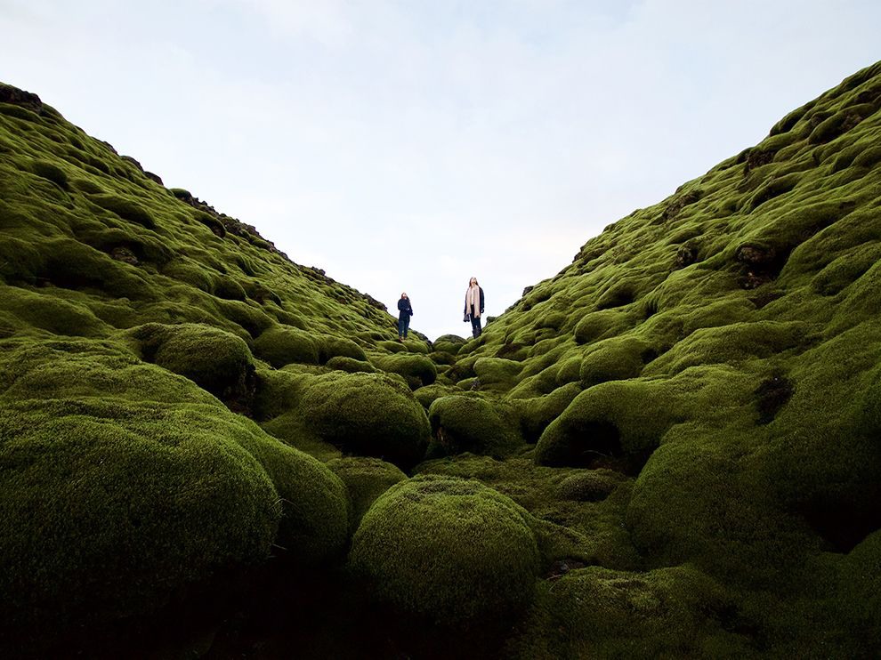 14 "A Mossy Eruption". Photograph by Dylan Shaw. An Iceland road trip afforded Your Shot member Dylan Shaw an opportunity to photograph one of the country’s geological wonders—a field of volcanic rock softened by a lush blanket of moss. Iceland has been shaped by glacial and volcanic activity—the island was born of a volcanic eruption—and has more than a hundred volcanoes, about a third of which are considered active.