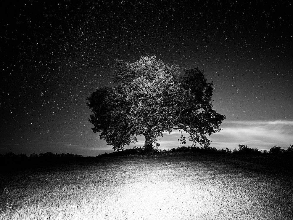 23 "Night Watch". Photograph by Pietro Sorano. On a clear night, a lone tree stands like a sentry over a small hill in Pavullo nel Frignano, Italy. "I took this picture after seeing a reflected light on this tree, alone in the countryside," writes Pietro Sorano, who submitted the photo. "I tried to capture the moment with the stars that served as a backdrop to this magnificent scenery."