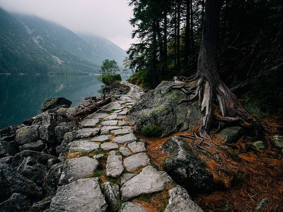 28 "A Wonderland Walkway". Photograph by Sara Delić. Your Shot member Sara Delić submitted this image of “heaven on Earth,” a view of the serene Morskie Oko, taken from a stone path running alongside it. Morskie Oko is a Polish lake located high in the Tatra Mountains.