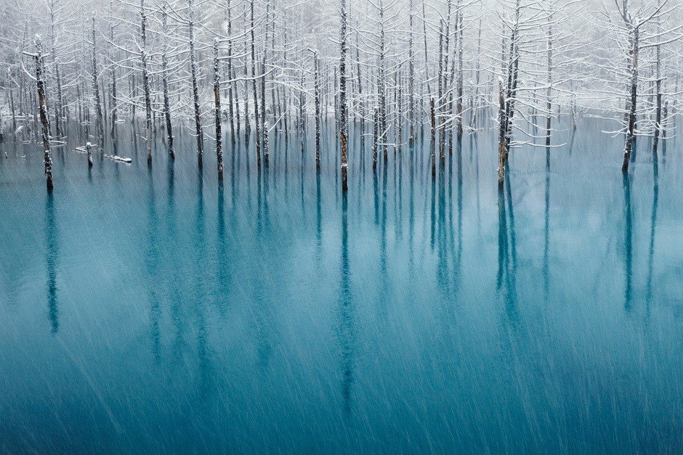 19 Blue Pond and the first snow in the village of Biei, Hokkaido. Photography by Kent Shiraishi